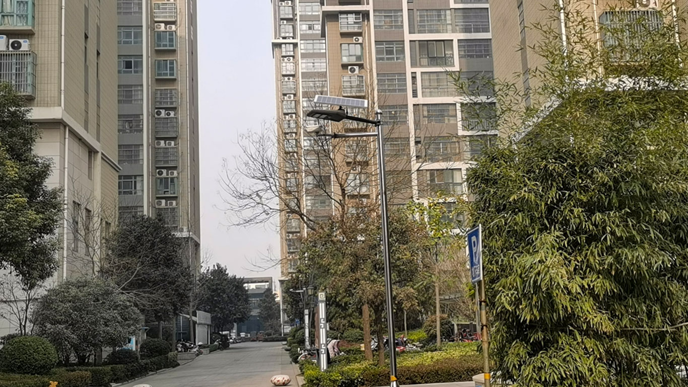 1611295107857567.jpg mmexport1611275780100.jpg