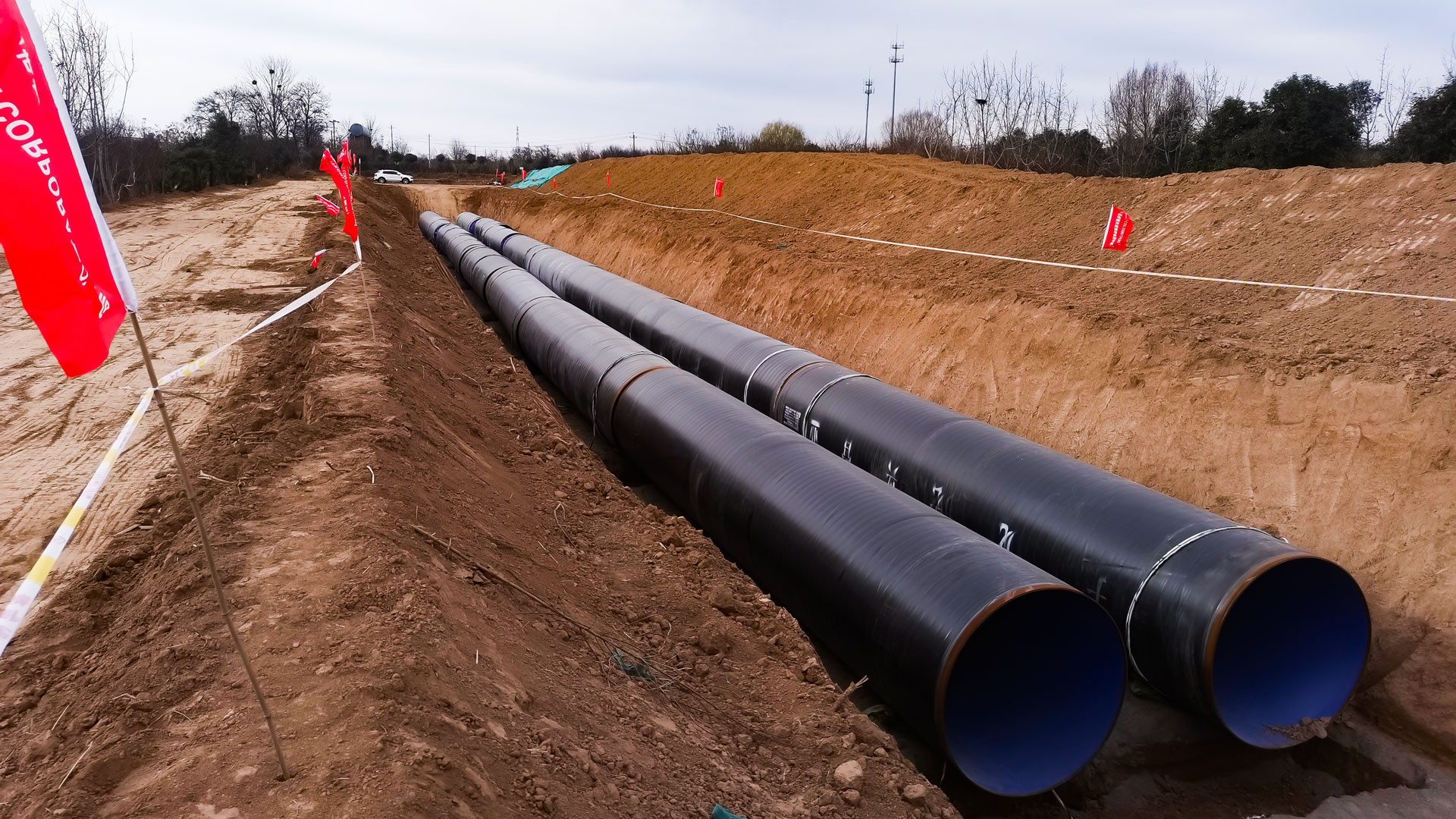 1642835090378786.jpg 疫情之下-(2).jpg