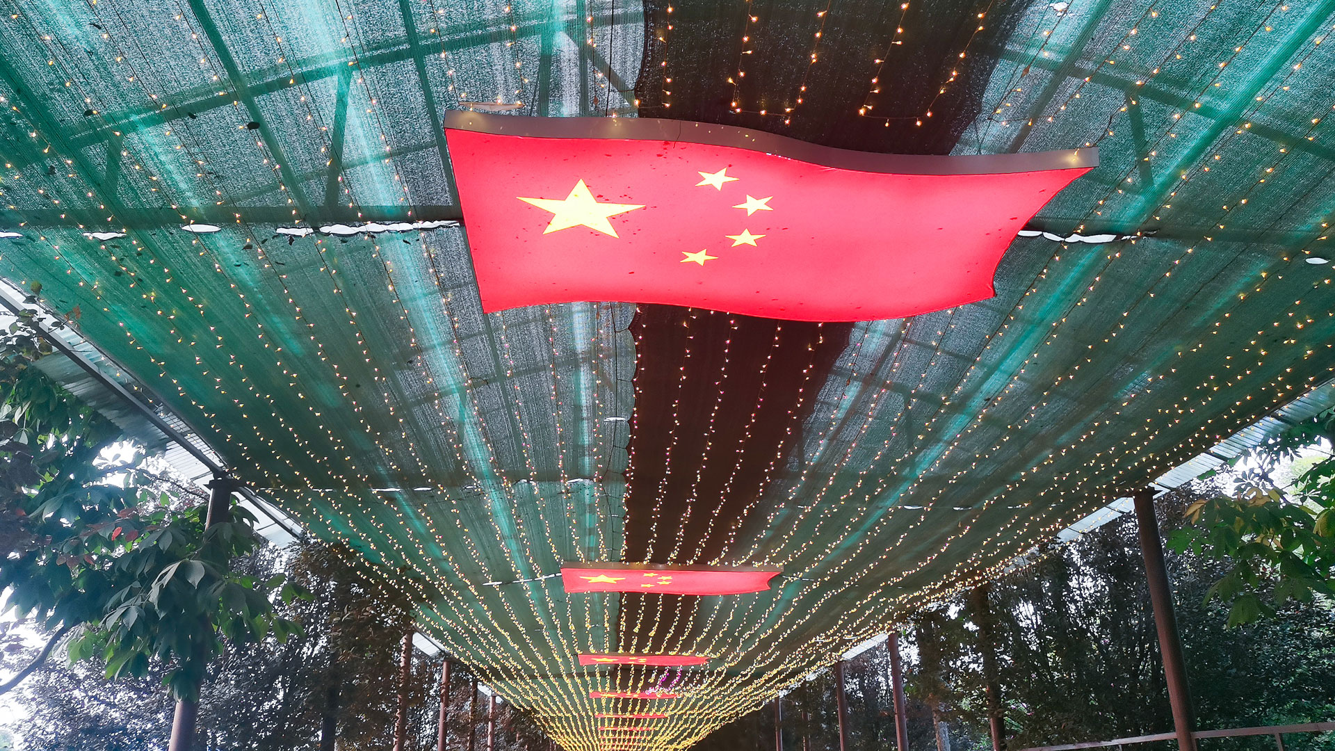 1663904579683693.jpg 開展實踐學(xué)習(xí)會-(1).jpg